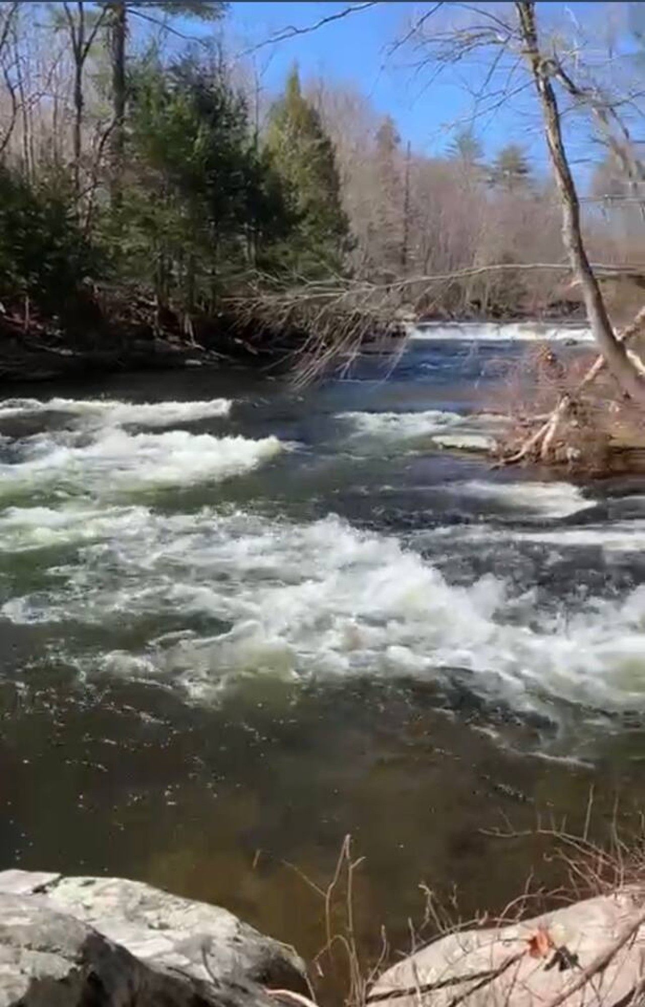 Nearby river in the Poconos