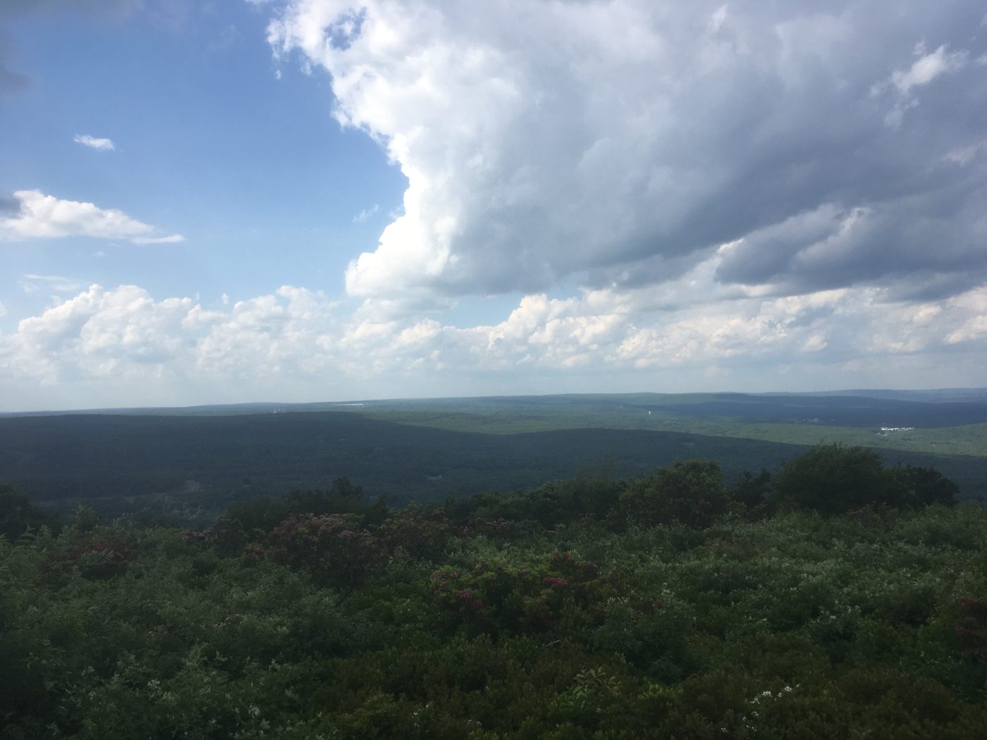 Panoramic view from Big Pocono State Park on Camelback Mountain